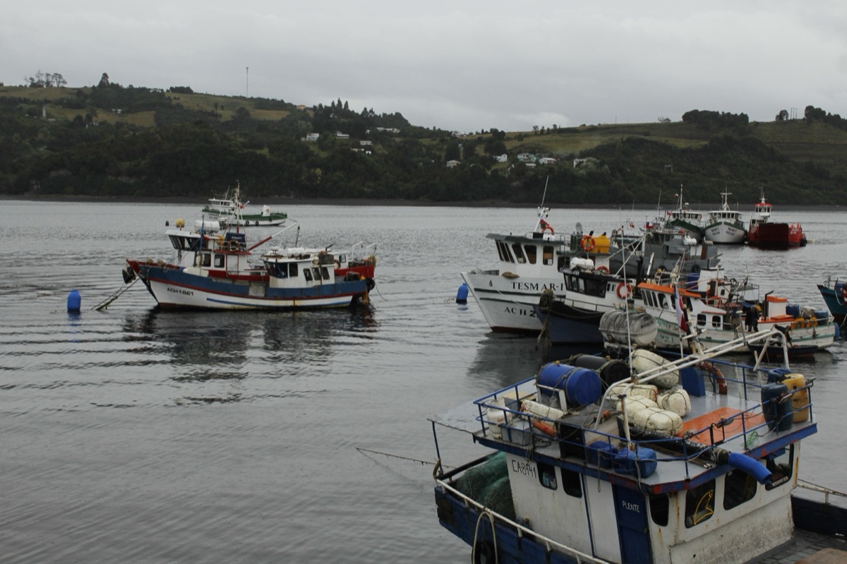 Tour Costa Interior de Chiloé: Quemchi, Isla Aucar, Tenaún y Dalcahue