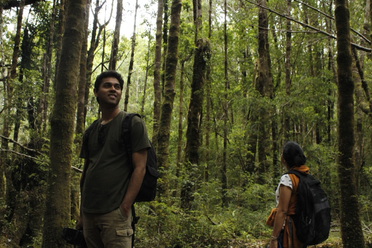 Parque Tepuhueico, bosque nativo siempreverde de Chiloé